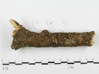 登錄號:F0002367藏品圖，第1張