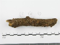 登錄號:F0002367藏品圖，第3張