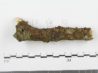 登錄號:F0002367藏品圖，第4張