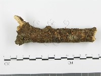 登錄號:F0002367藏品圖，第5張