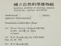 登錄號:F0002368藏品圖，第2張