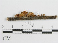 登錄號:F0002368藏品圖，第3張