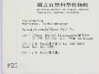 登錄號:F0002370藏品圖，第2張
