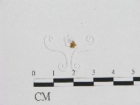 登錄號:F0002370藏品圖，第1張