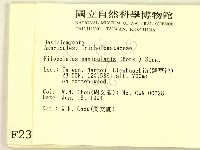 登錄號:F0002371藏品圖，第2張
