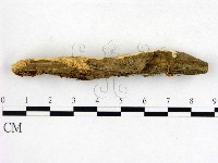 登錄號:F0002371藏品圖，第3張