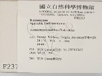登錄號:F0002373藏品圖，第2張