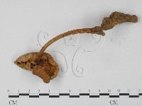登錄號:F0002373藏品圖，第3張