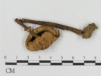 登錄號:F0002374藏品圖，第3張