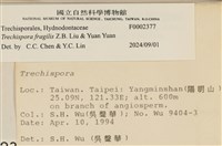 登錄號:F0002377藏品圖，第3張