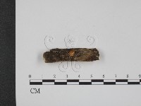 登錄號:F0002378藏品圖，第1張