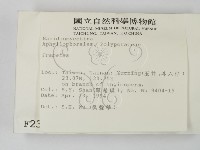 栓菌屬藏品圖，第2張