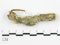 登錄號:F0002385藏品圖，第3張