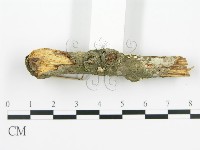 登錄號:F0002385藏品圖，第4張