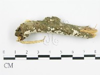 登錄號:F0002385藏品圖，第5張