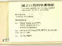 刺皮菌屬藏品圖，第2張