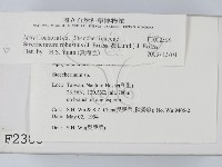 登錄號:F0002388藏品圖，第2張