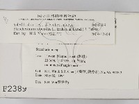 登錄號:F0002389藏品圖，第2張