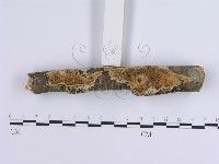 登錄號:F0002389藏品圖，第3張