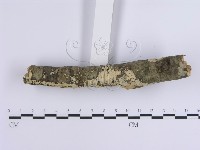 登錄號:F0002389藏品圖，第5張