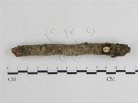 登錄號:F0002390藏品圖，第1張