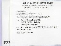 登錄號:F0002391藏品圖，第2張