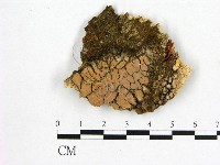 登錄號:F0002391藏品圖，第1張