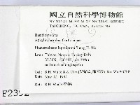 登錄號:F0002392藏品圖，第2張