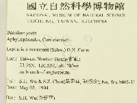 登錄號:F0002395藏品圖，第2張