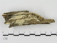 登錄號:F0002395藏品圖，第1張