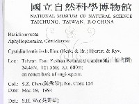 登錄號:F0002396藏品圖，第2張