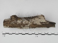 登錄號:F0002397藏品圖，第5張