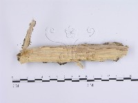 登錄號:F0002400藏品圖，第3張