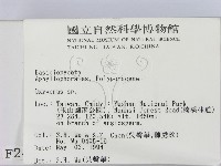 銳孔菌屬藏品圖，第2張