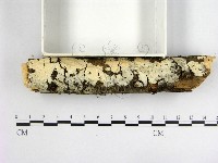 登錄號:F0002403藏品圖，第3張