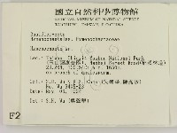 刺革菌屬藏品圖，第2張