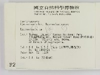 刺革菌屬藏品圖，第2張