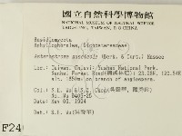 登錄號:F0002406藏品圖，第2張