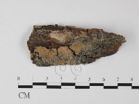 登錄號:F0002406藏品圖，第1張