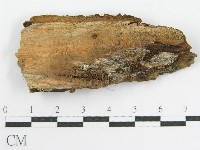 登錄號:F0002406藏品圖，第3張