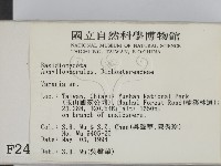 登錄號:F0002407藏品圖，第2張