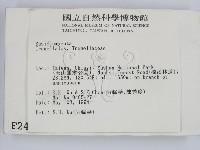 登錄號:F0002408藏品圖，第2張