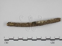 登錄號:F0002408藏品圖，第3張