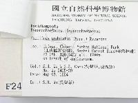 登錄號:F0002410藏品圖，第3張