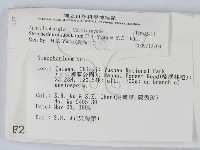 登錄號:F0002411藏品圖，第2張