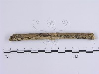 登錄號:F0002411藏品圖，第1張