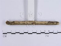 登錄號:F0002411藏品圖，第3張