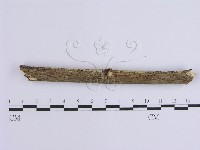 登錄號:F0002411藏品圖，第4張