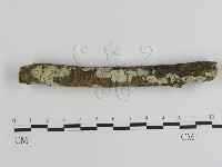 登錄號:F0002412藏品圖，第1張