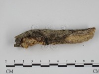 登錄號:F0002413藏品圖，第3張